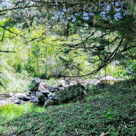 Cabana Mountain View エレディア エクステリア 写真