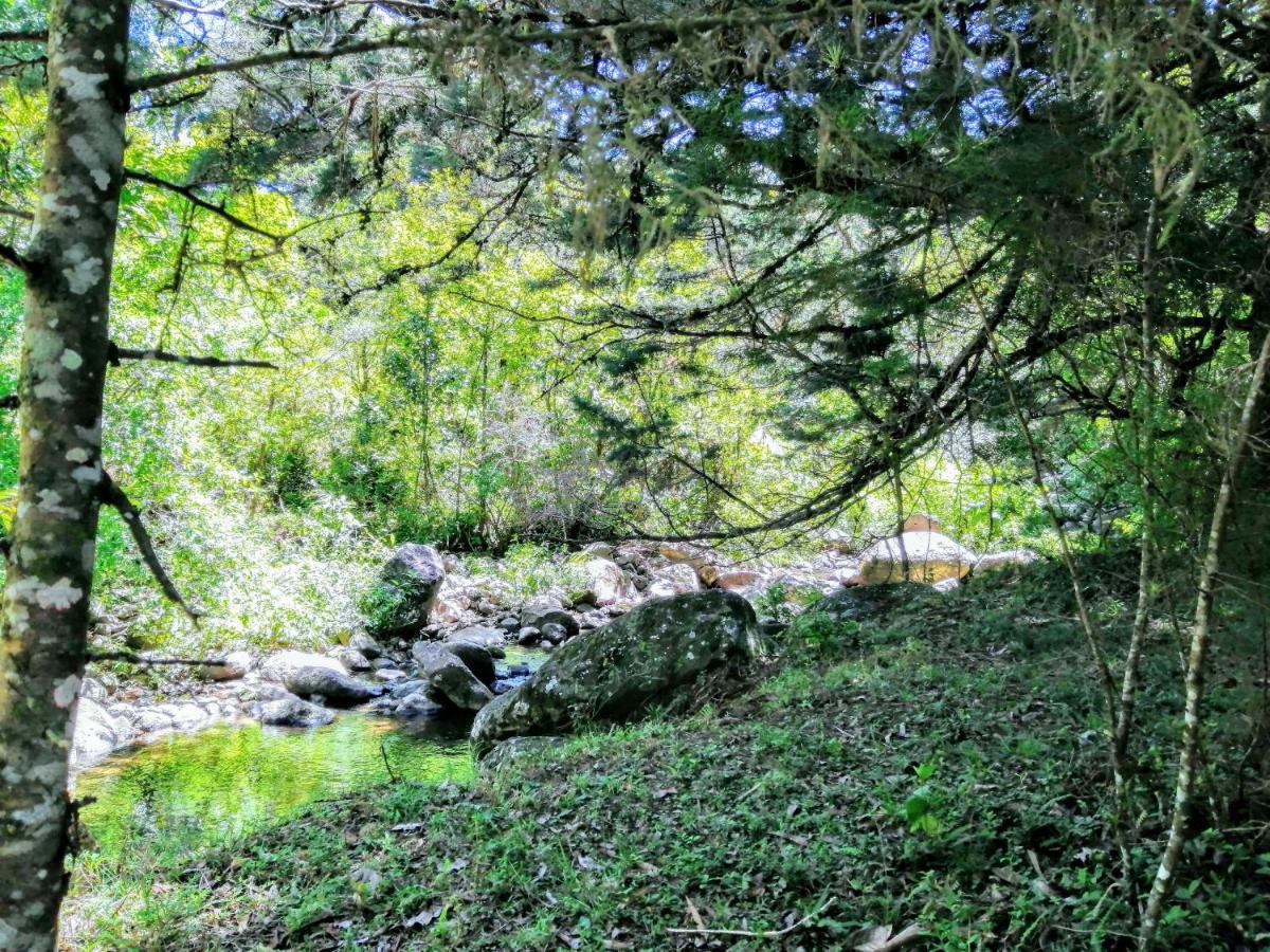 Cabana Mountain View エレディア エクステリア 写真